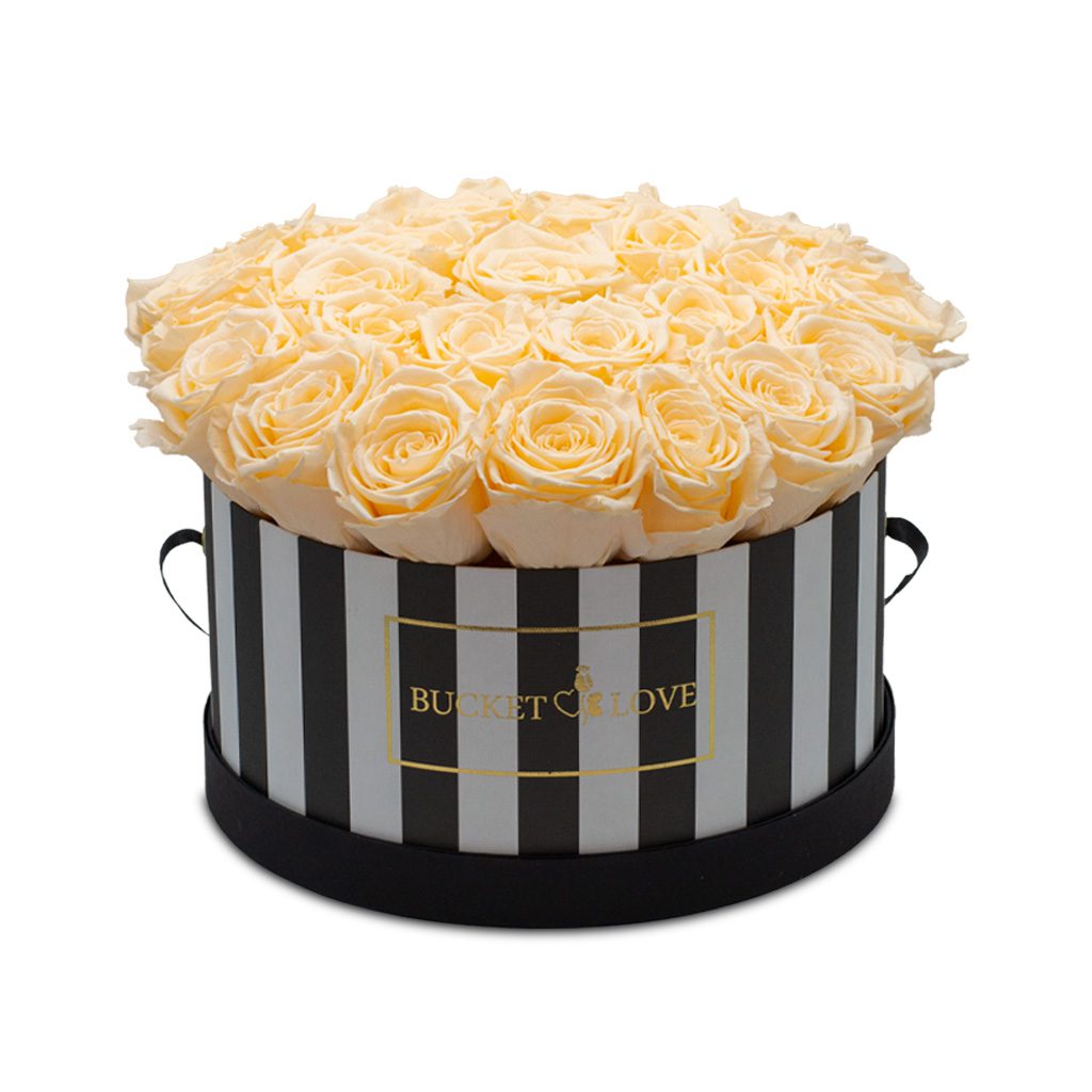 Apricot Elegance (Forever Roses) – image 139