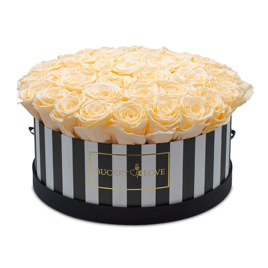 Apricot Elegance (Forever Roses) – image 140