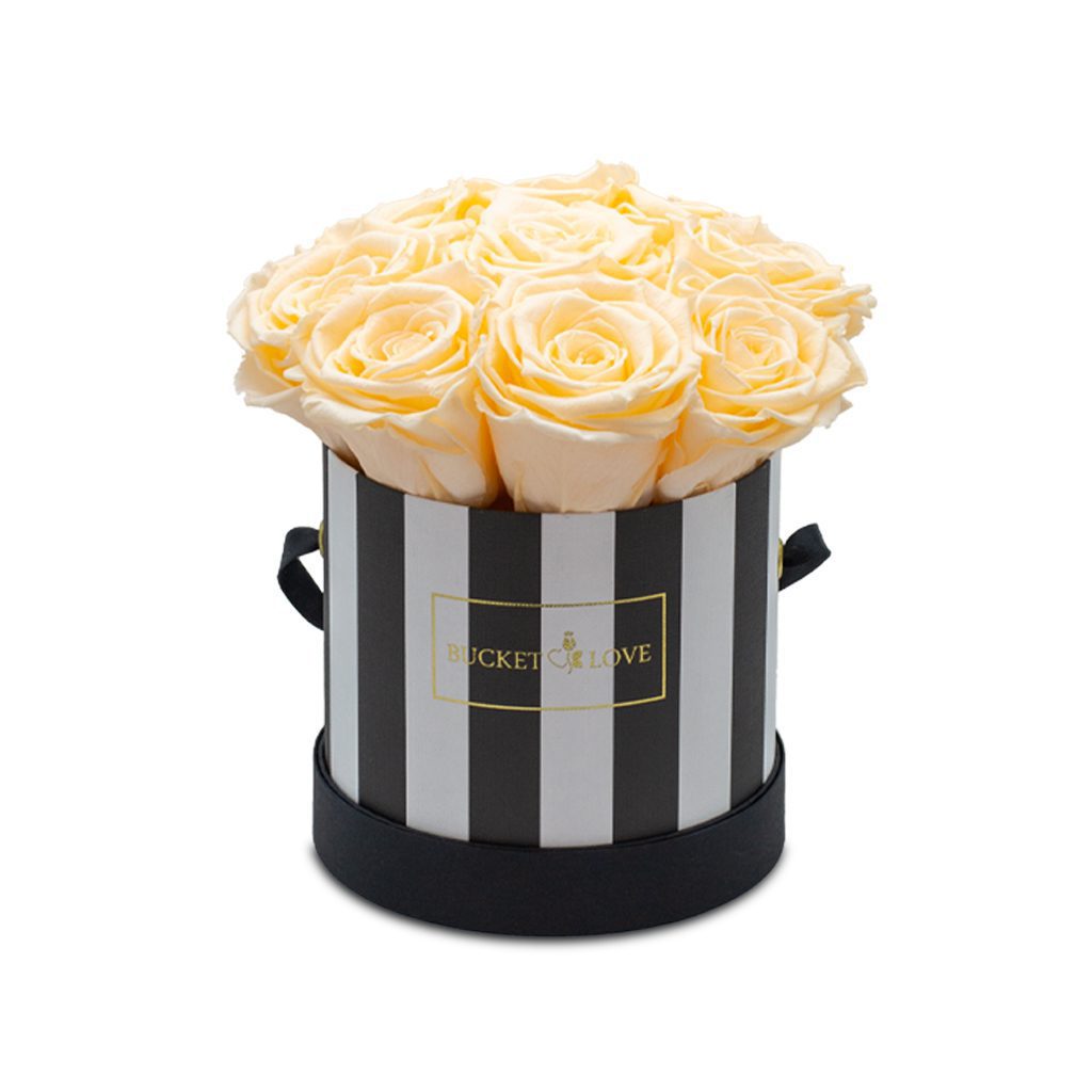 Apricot Elegance (Forever Roses) – image 137