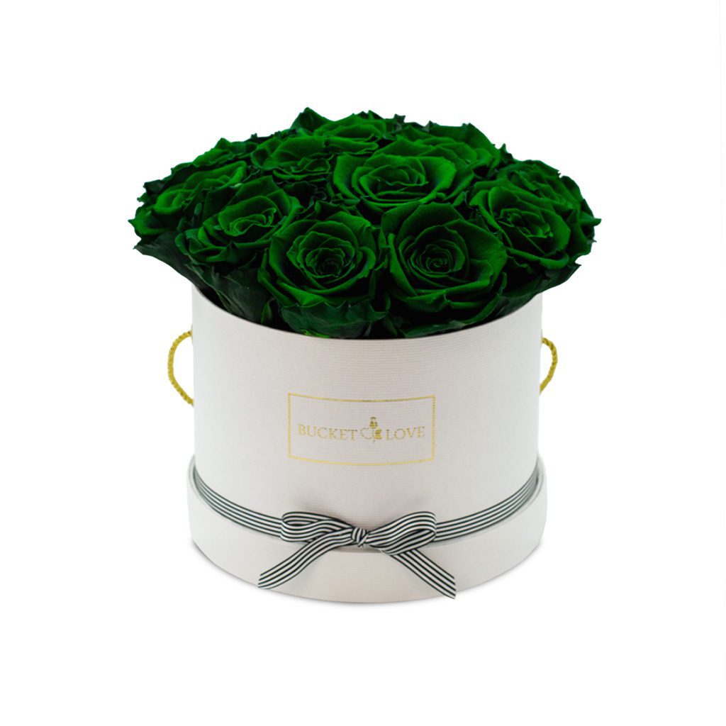 Apricot Elegance (Forever Roses) – image 141