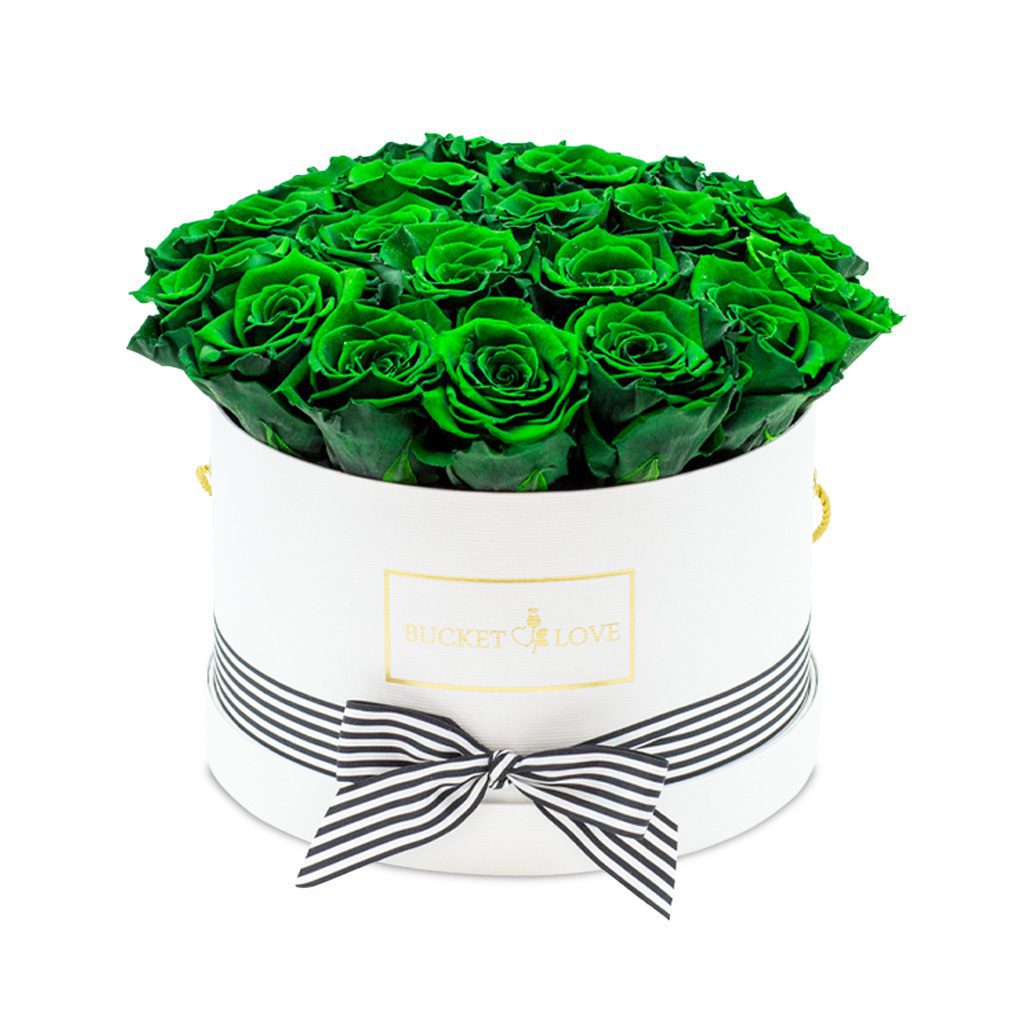 Apricot Elegance (Forever Roses) – image 142