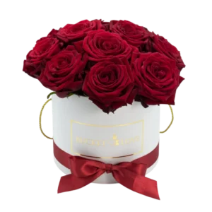 Frische Blumenarrangements