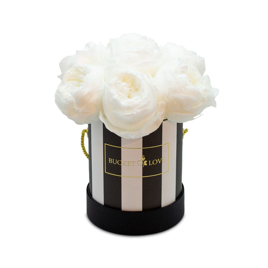 Apricot Elegance (Forever Roses) – image 147