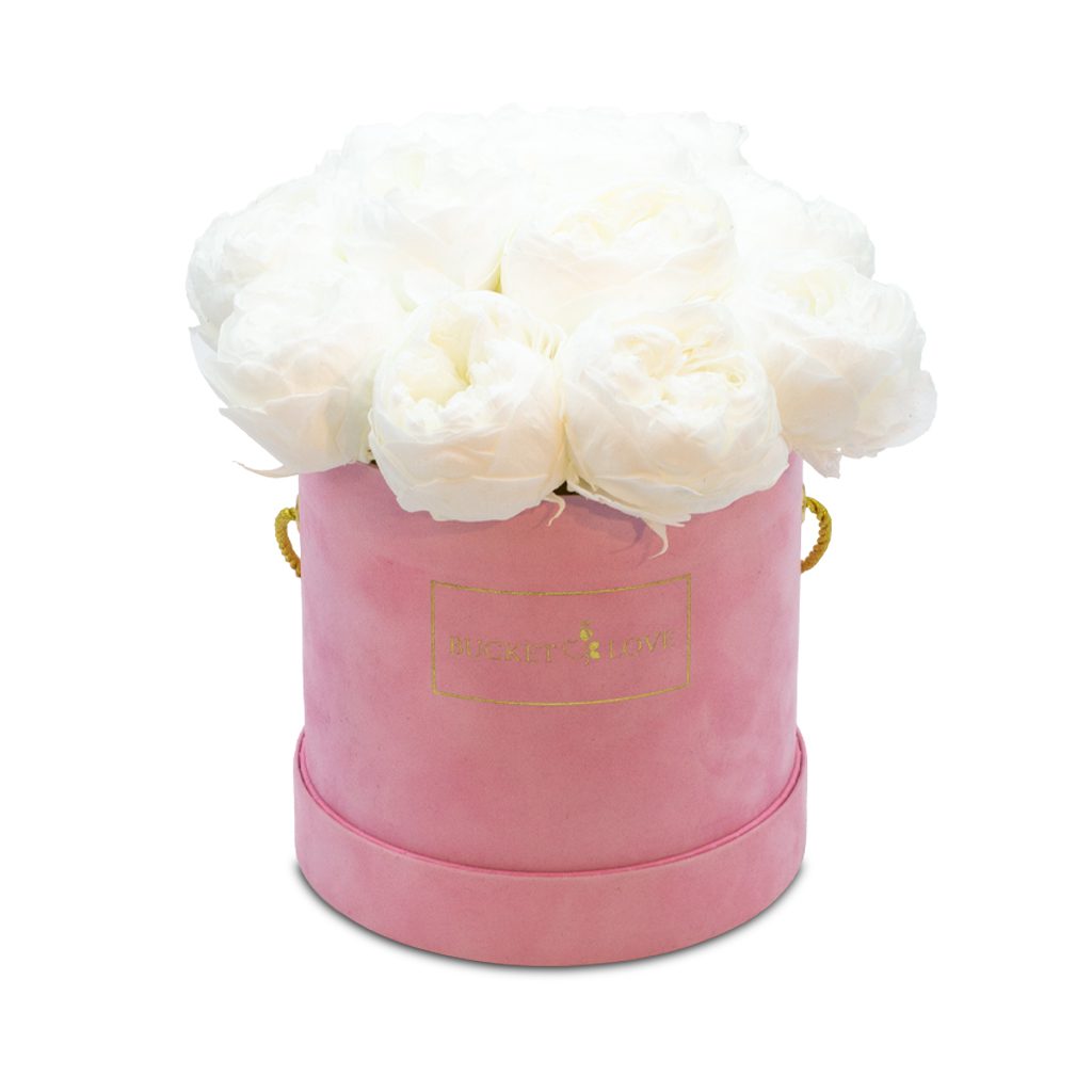 Apricot Elegance (Forever Roses) – image 148