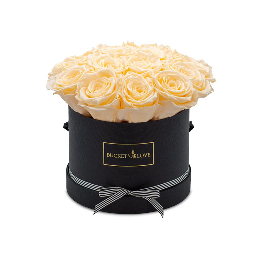 Apricot Elegance (Forever Roses) – image 150