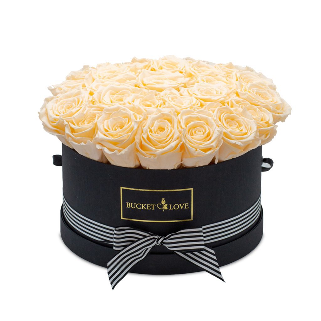 Apricot Elegance (Forever Roses) – image 152
