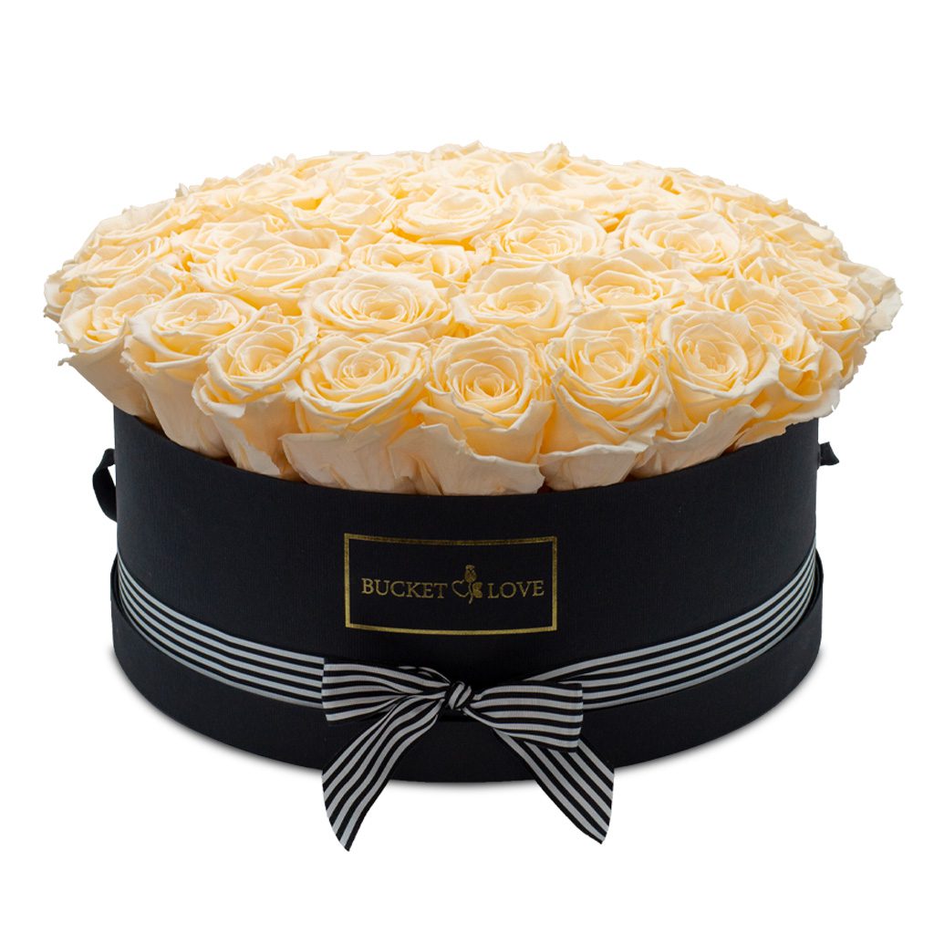 Apricot Elegance (Forever Roses) – image 153