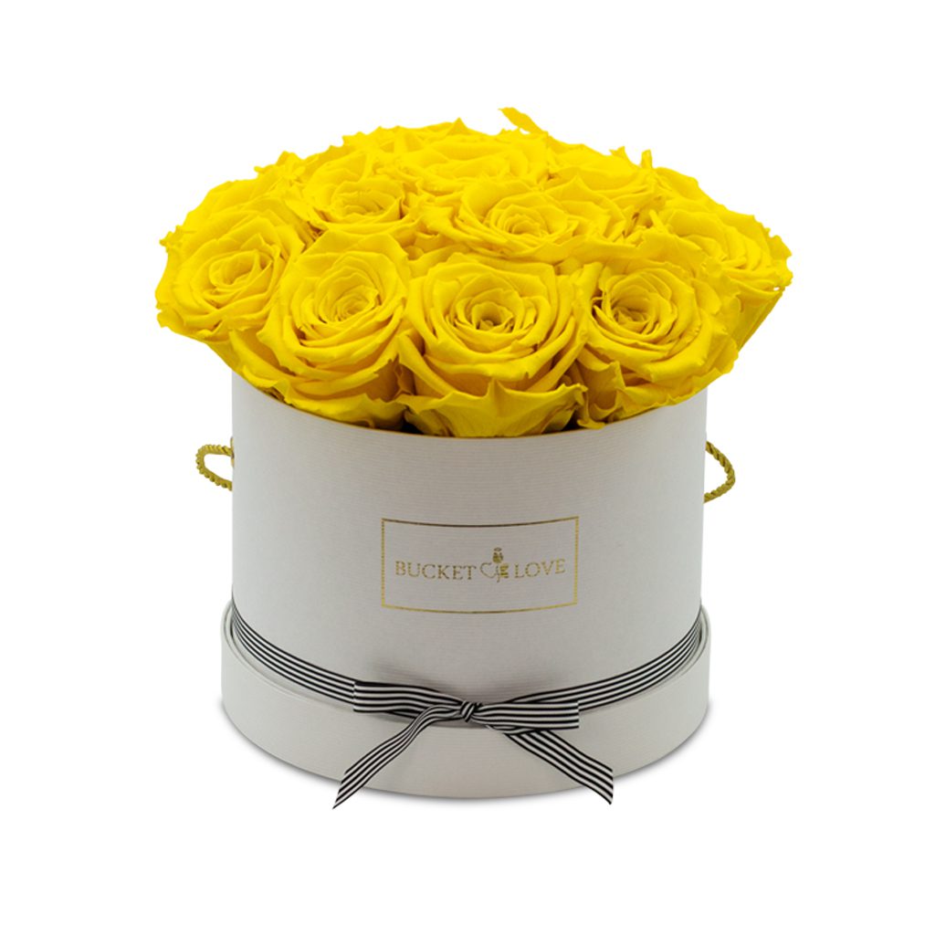 Apricot Elegance (Forever Roses) – image 156