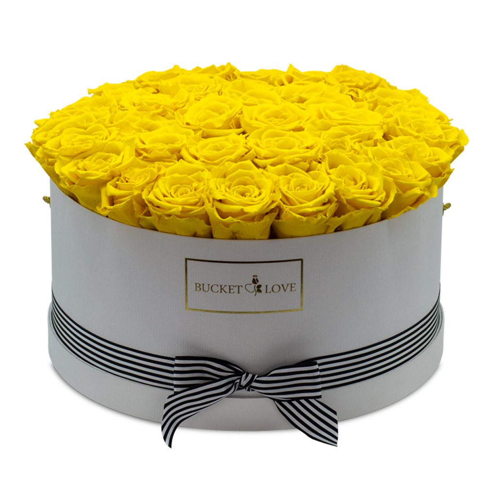 Apricot Elegance (Forever Roses) – image 157