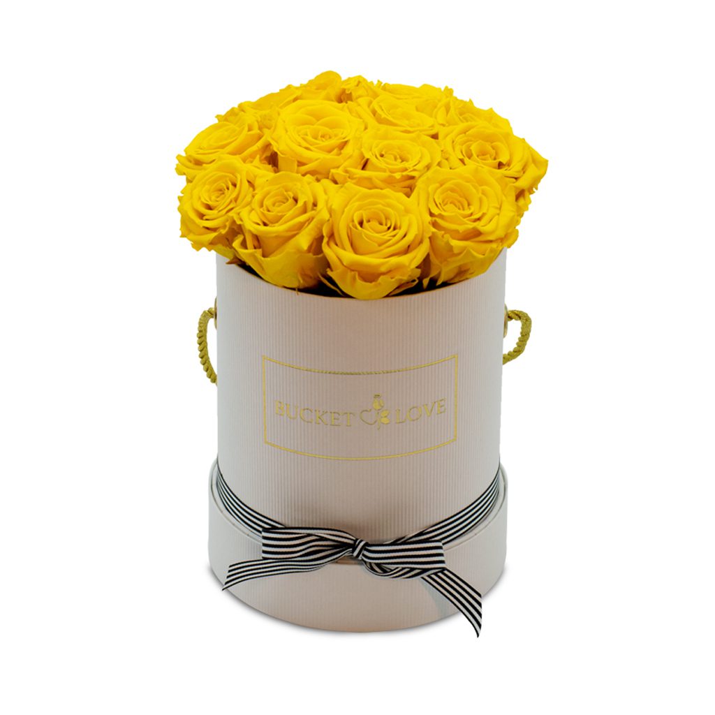 Apricot Elegance (Forever Roses) – image 154