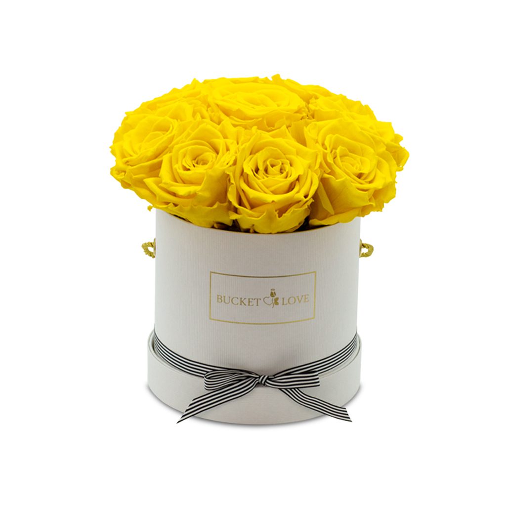 Apricot Elegance (Forever Roses) – image 155